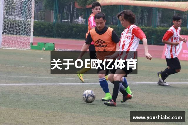 关于OE欧亿体育